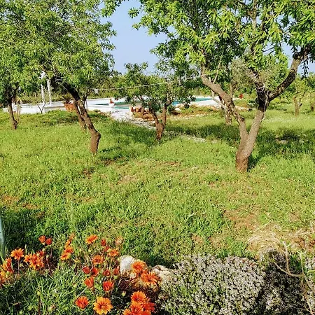 Trullo Serena * أوستوني