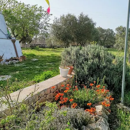 Trullo Serena بيت للعطل