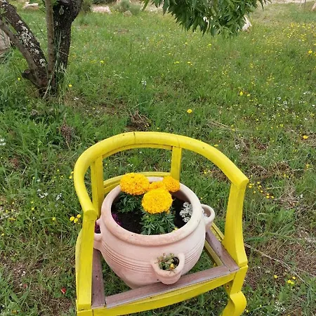 بيت للعطل Trullo Serena أوستوني